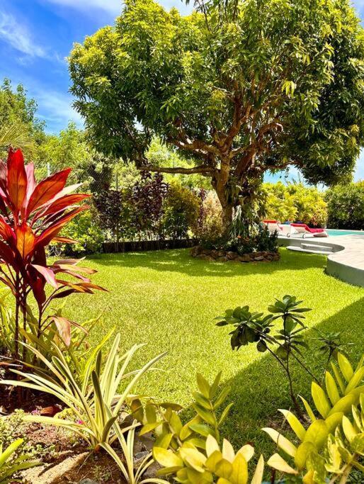 Villa Moana Reva 보라 보라 외부 사진